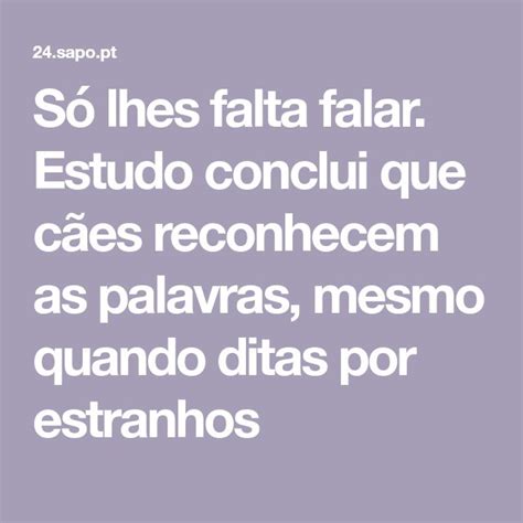 Só lhes falta falar Estudo conclui que cães reconhecem as palavras