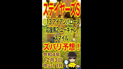 【投資競馬塾】ステイヤーズステークス（g2）ズバリ予想！ 13 アイアンバローズ★応援馬2 ユーキャンスマイル★中山11r★令和4年12月3日