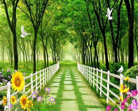 Images Nature Wallpaper Green Background