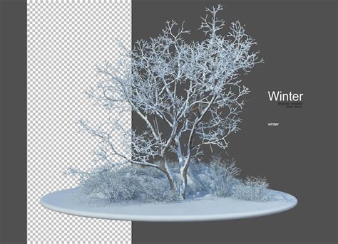 Diferentes tipos de árvores no inverno PSD Premium