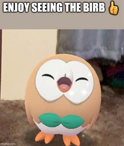 Happy Rowlet Imgflip