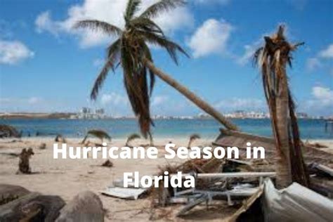 Everything you need to know this hurricane season in florida – Artofit