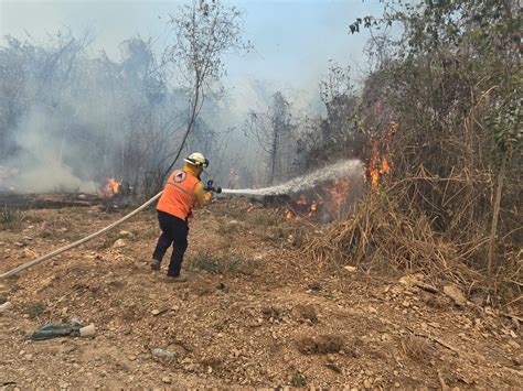 Alerta Por Incendios Forestales En Pet N Medidas De Protecci N Y Respuesta