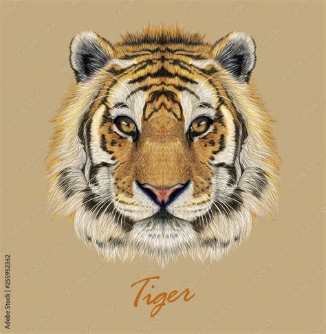 Tiger animal face. Vector Bengal head portrait. Realistic fur beast of ...