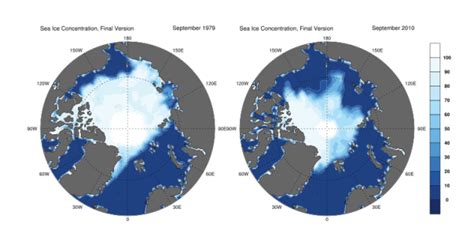 Polar Ice Caps Melting Causes And Impacts Lesson