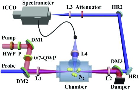 Schematic Of The Experimental Setup HWP Half Wave Plate P