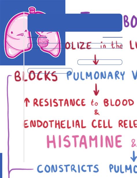 Pulmonary Vascular Disease Notes Diagrams Illustrations Osmosis