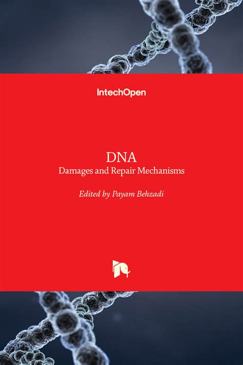 Interstrand Crosslink Repair New Horizons Of DNA Damage Repair