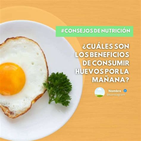 Dise Os Canva Para Nutrici N Nt Bronce Plantillas Market