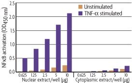 Novel Assays To Isolate Co IP Quantitate Nf KB Activity