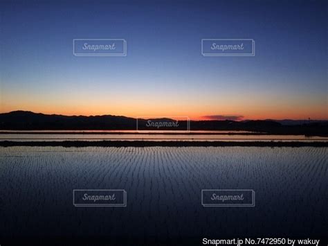 水を張った田んぼに映る夕暮れの景色の写真・画像素材 7472950 Snapmart（スナップマート）