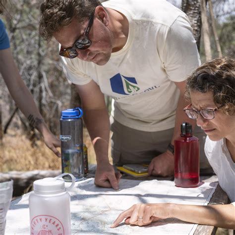 Researchers Rediscover Oak Tree Thought To Be Extinct United States