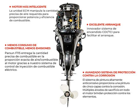 Motor Fuera De Borda PARSUN EFI 115 LaLizas Colombia