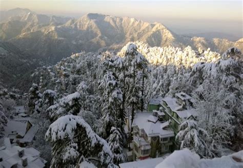 Shimla sees season's heaviest snowfall | See Pics