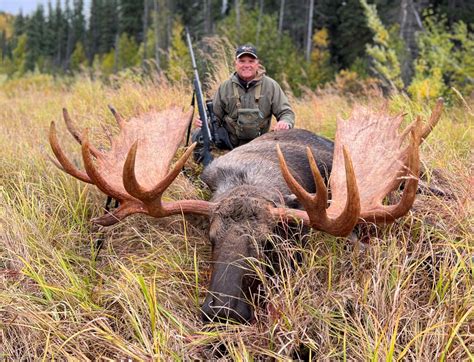 Monster Moose In Alaska Gordie White Worldwide Safaris