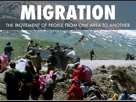 Demography & Migration by Theresa Diaz