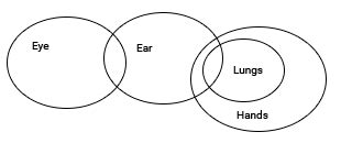 Syllogism Practice Questions With Answers