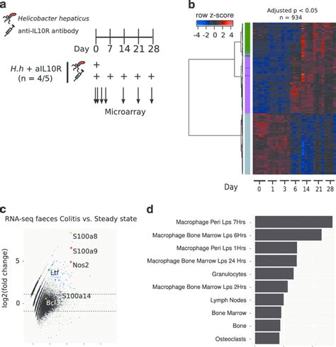 Luminal Expression Of Host Genes Represents A Signature Of Activated