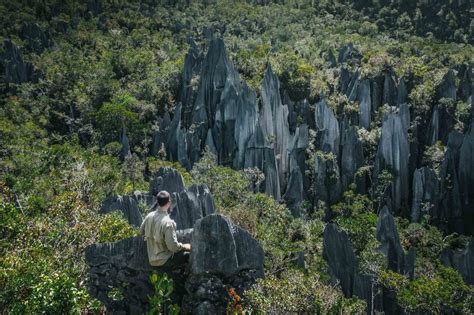 6 Best Things to do in Sabah, Malaysia, Borneo | Drink Tea & Travel