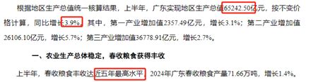 广东经济“半年报”：超6 52万亿元 东方财富网