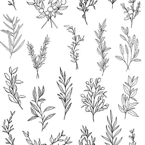 Herbs Of The Field Repeating Simple Botanical Pattern In 2021