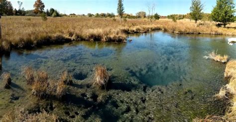 Rare prairie fen ecosystem conserved, contiguous with Watkins Lake State Park and County ...