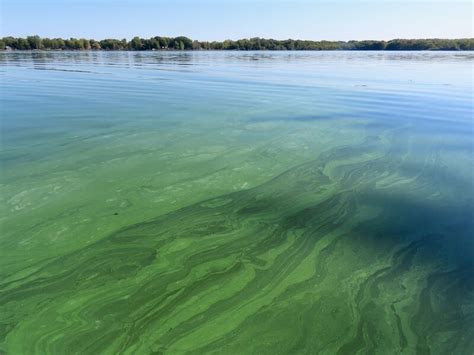 Algal Blooms In West Michigan Lake Prompt Health Warning To Avoid ‘pea