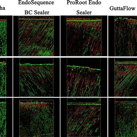 Clsm Of Week Old Multi Species Biofilm After Exposure To Different