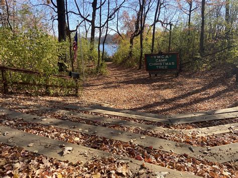 day camp christmas tree 1