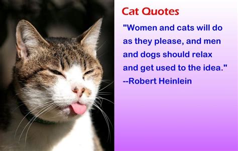 Cat Lady Funny Quotes. QuotesGram