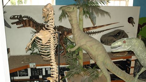 The Museum – Dinosaurland Fossil Museum