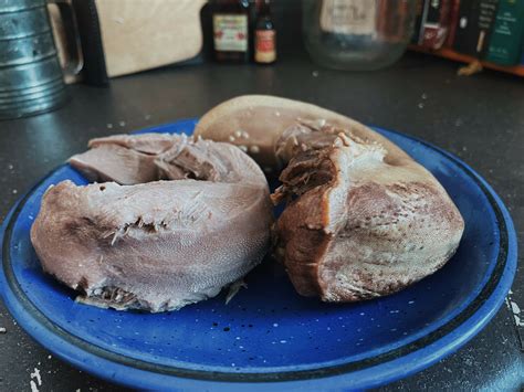 Moose Tongue Sandwiches • BC Outdoors Magazine