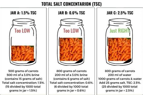 16+ Salt Brine Calculator - JarydJillyan