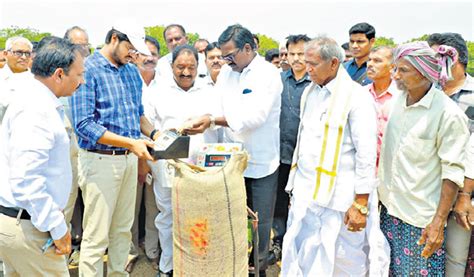 230 Paddy Procurement Centres Set Up In Khammam Puvvada Telangana Today