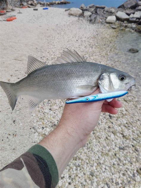 Saltwater Handmade Lure Needlefish Blue 10cm 4inch - Etsy