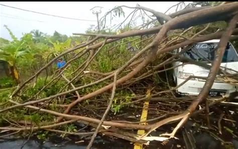 Angin Kencang Menerjang Ciamis Pohon Pohon Tumbang Sakata Id