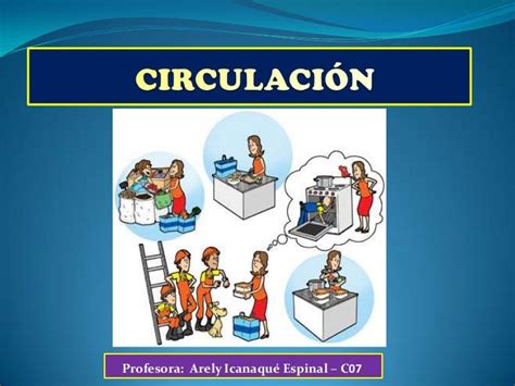 Tema 10 Circulación