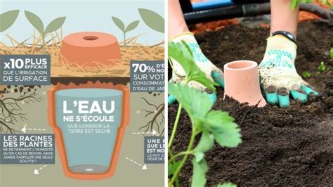 Oyas Qu Est Ce Que C Est Et Comment Les Utiliser Au Jardin