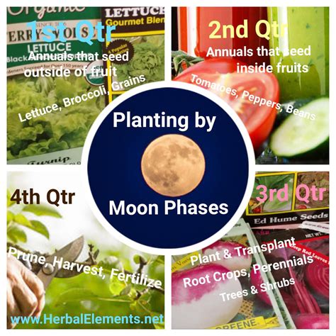 Planting with the Moon Phases