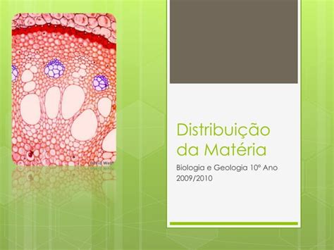 6 Biologia E Geologia 10º Ano Distribuição De Matéria Ppt