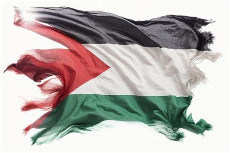 Premium Photo Photo Grunge Palestine Flag Palestine Flag With Grunge