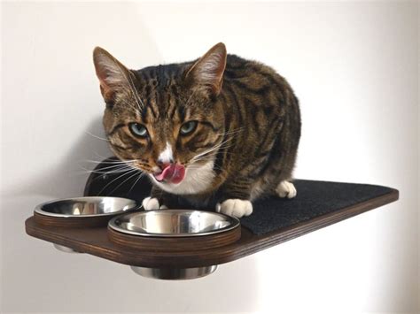 Feeder For Big Cats Cat Shelf With Two Bowls Wall Mounted Etsy