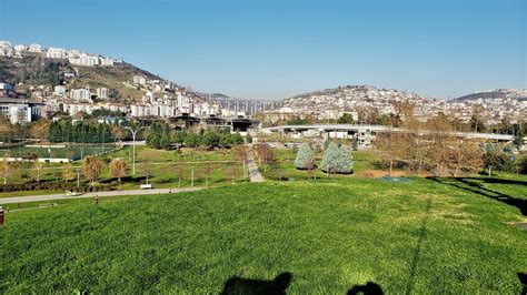 Seka Park Nerede Nasıl Gidilir Yorumlar