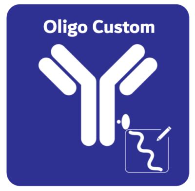 Antibody Oligo Conjugation Applications Challenges The Next Gen