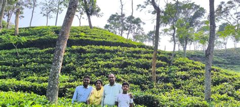 sabbir hosen rtn