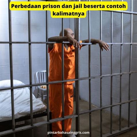 Perbedaan Prison Dan Jail Beserta Contoh Kalimatnya General Hot Sex