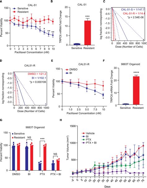 The Calcium Channel Trpc Promotes Chemotherapy Induced Persistence By