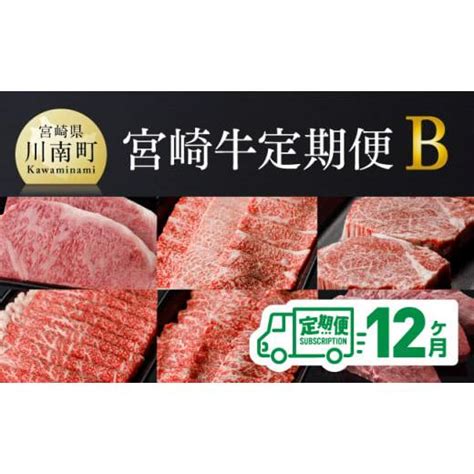 ふるさと納税 牛肉 ヒレ 宮崎県 川南町 定期便 宮崎牛12ヶ月定期便bロースステーキ／肩ロース焼肉／ヒレステーキ／ウデスライス／モモ焼肉