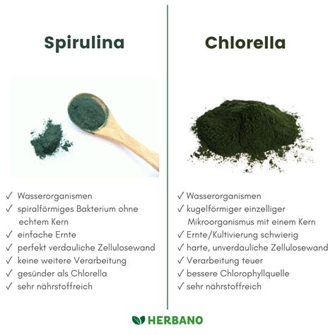 What Is Chlorella And Spirulina Good For At Tomas Cole Blog