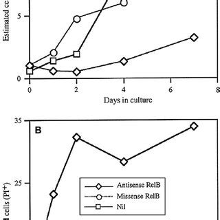 Inhibitory Effect Of Antisense RelB Oligonucleotides On Dendritic Cell